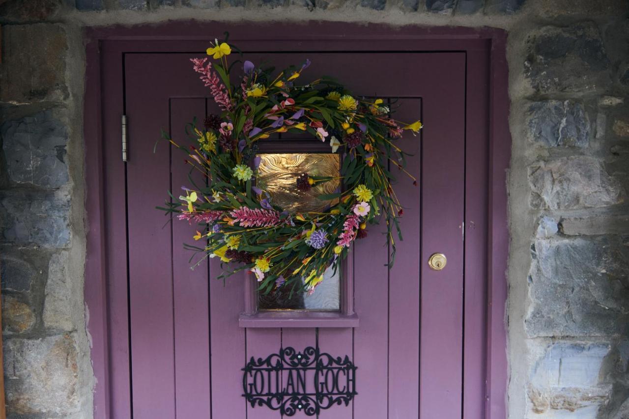 Goilan Goch Villa Llandeilo Dış mekan fotoğraf